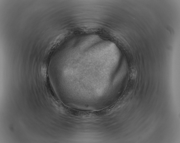 X0000113341108200910060952