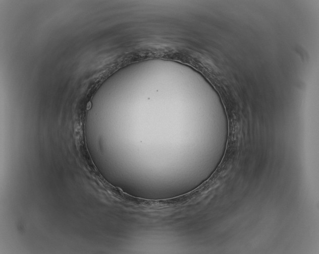 X0000113341109200910060952