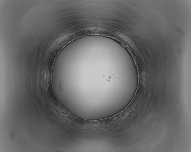 X0000113341111200910060952