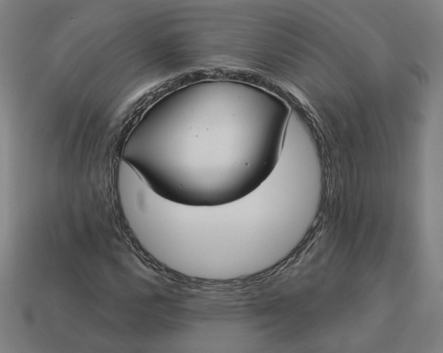 X0000113341112200910060952