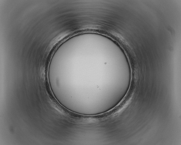 X0000113341113200910060952