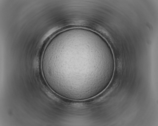 X0000113341114200910060952