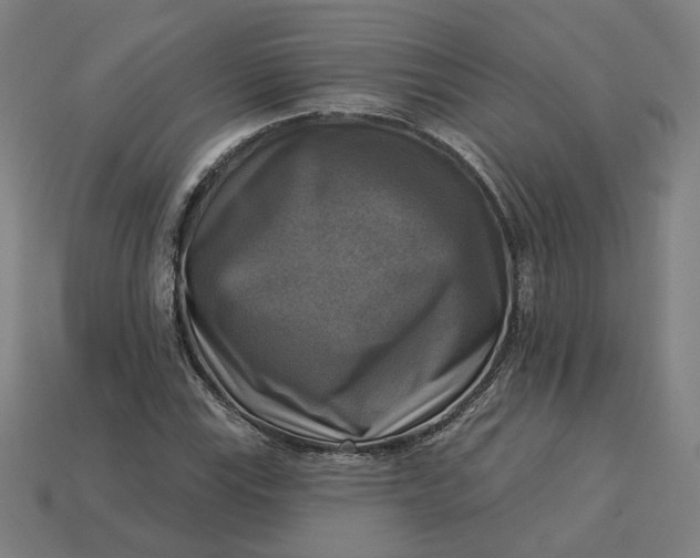 X0000113341115200910060952