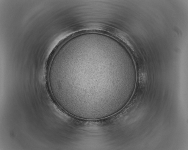 X0000113341116200910060952