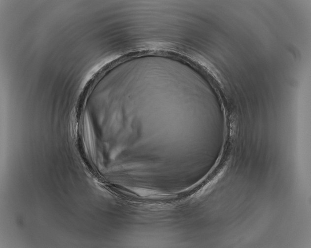 X0000113341117200910060952