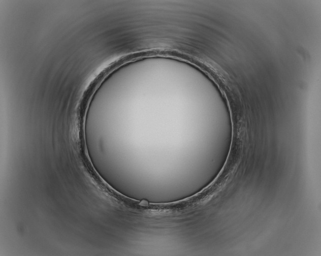 X0000113341118200910060952