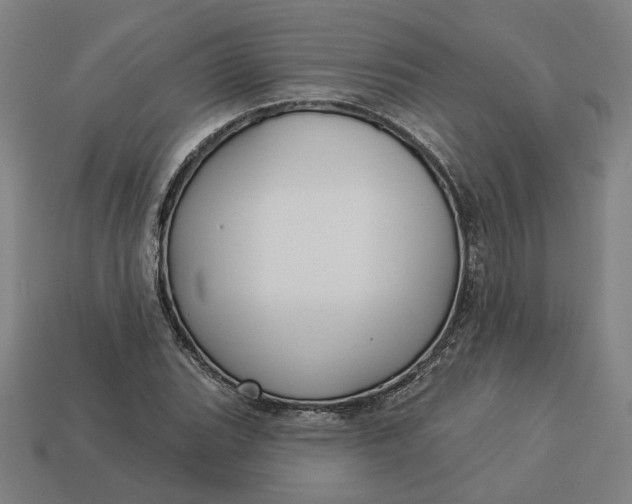 X0000113341119200910060952