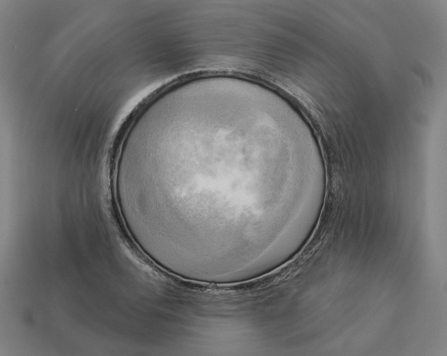 X0000113341120200910060952