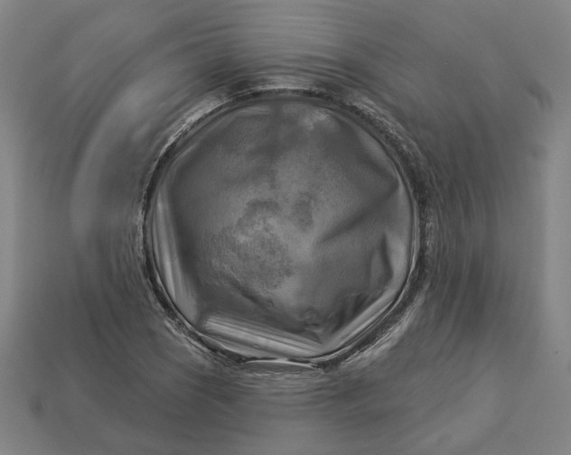 X0000113341121200910060952