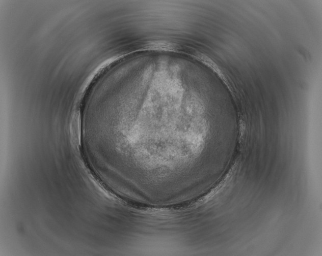 X0000113341123200910060952