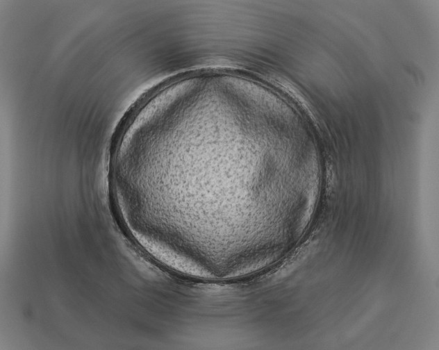 X0000113341124200910060952