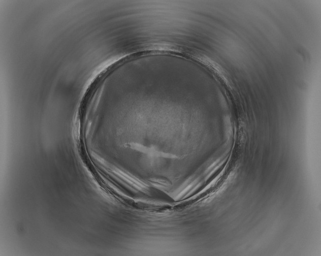 X0000113341125200910060952