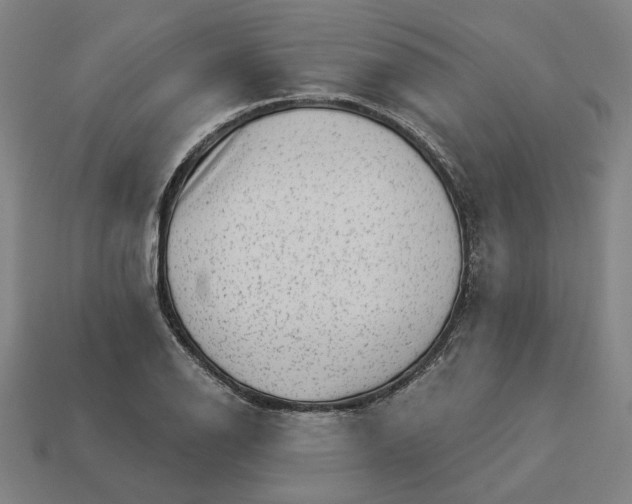 X0000113341126200910060952