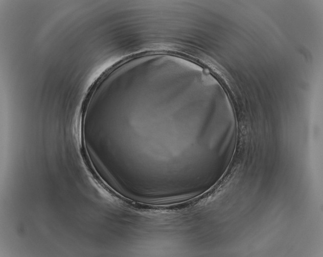 X0000113341127200910060952