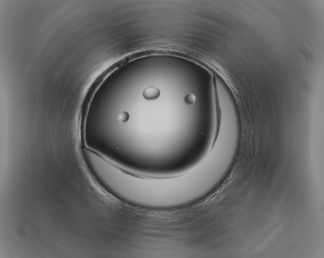 X0000113341128200910060952