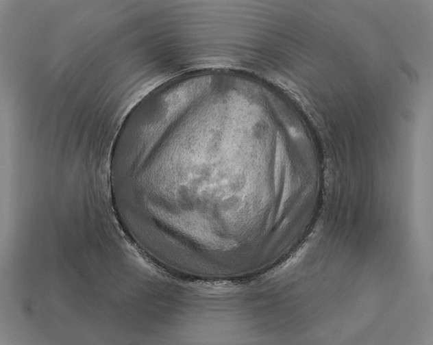 X0000113341129200910060952