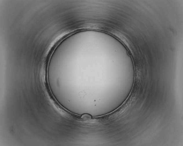 X0000113341131200910060952