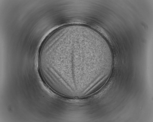 X0000113341132200910060952