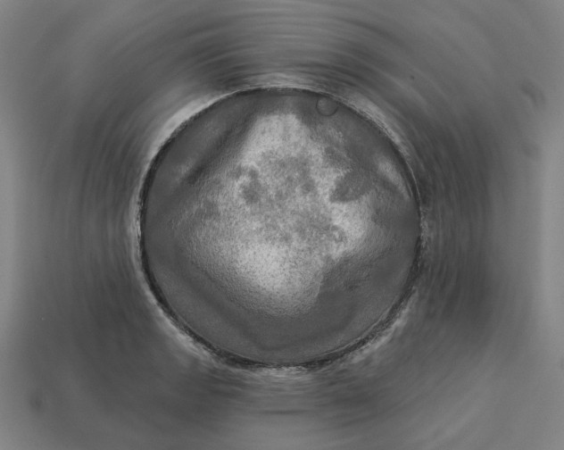 X0000113341133200910060952