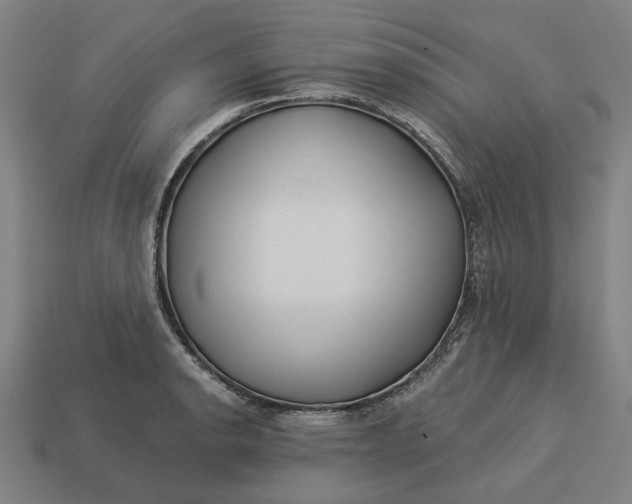 X0000113341134200910060952