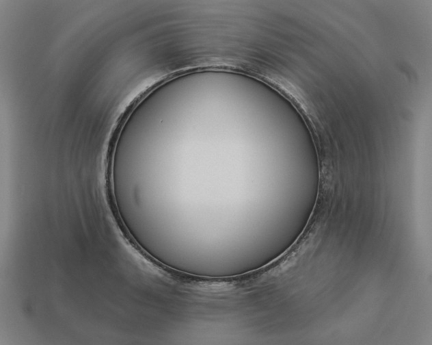 X0000113341135200910060952