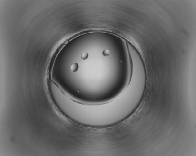 X0000113341136200910060952