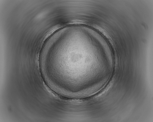 X0000113341137200910060952