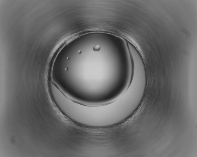 X0000113341138200910060952