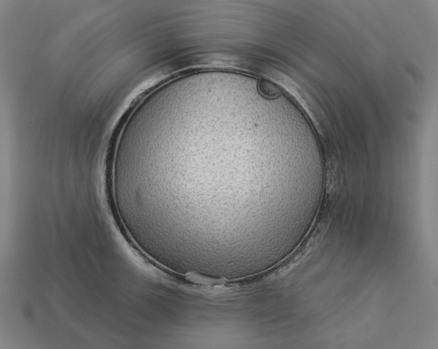 X0000113341139200910060952