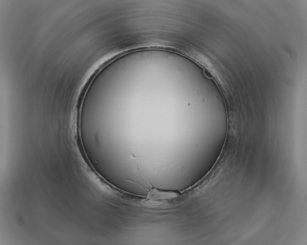 X0000113341140200910060952