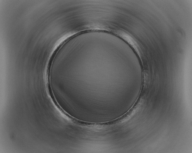 X0000113341141200910060952