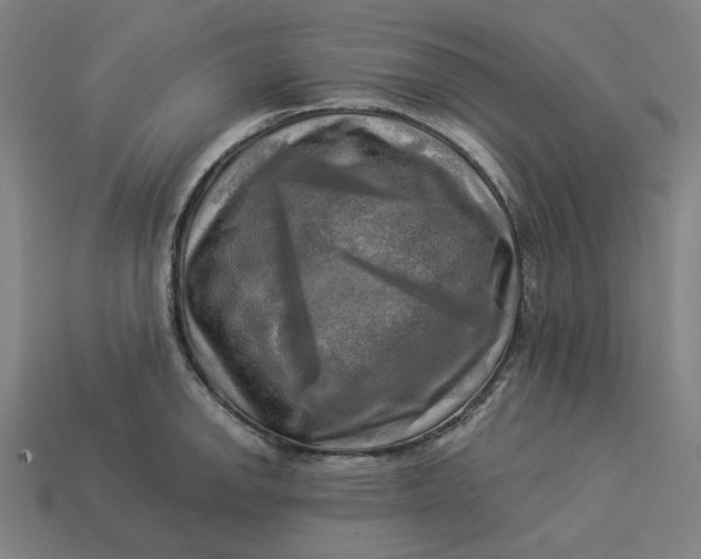 X0000113341142200910060952