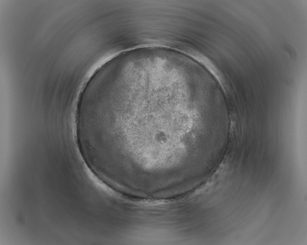 X0000113341143200910060952