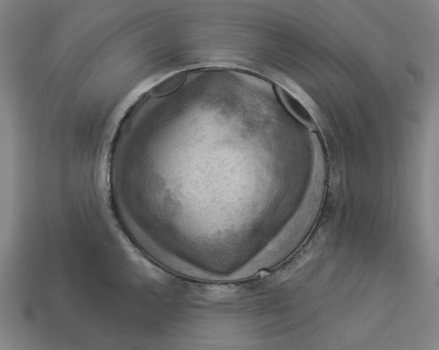 X0000113341144200910060952