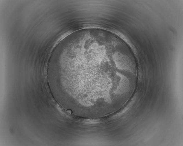 X0000113341145200910060952