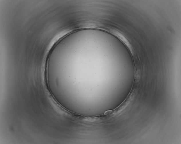 X0000113341146200910060952