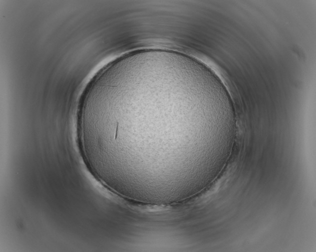 X0000113341147200910060952