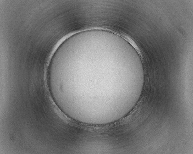 X0000113341148200910060952