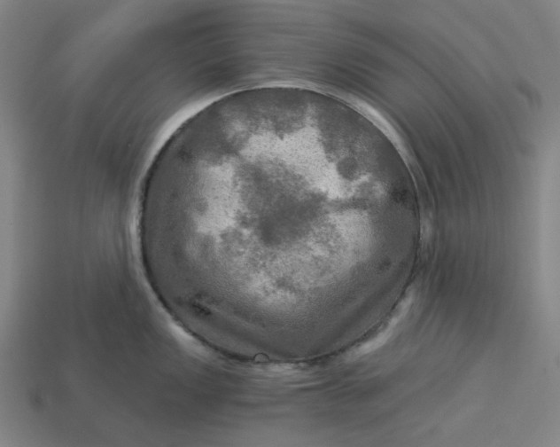 X0000113341149200910060952