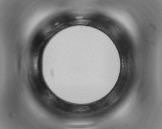 X0000113341150200910060952