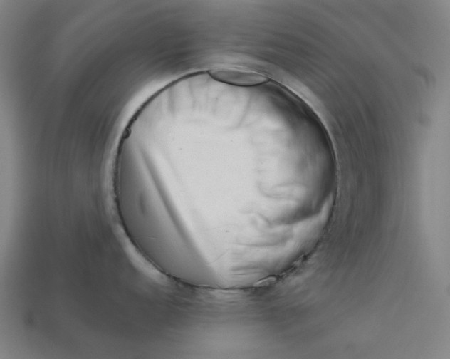 X0000113341152200910060952