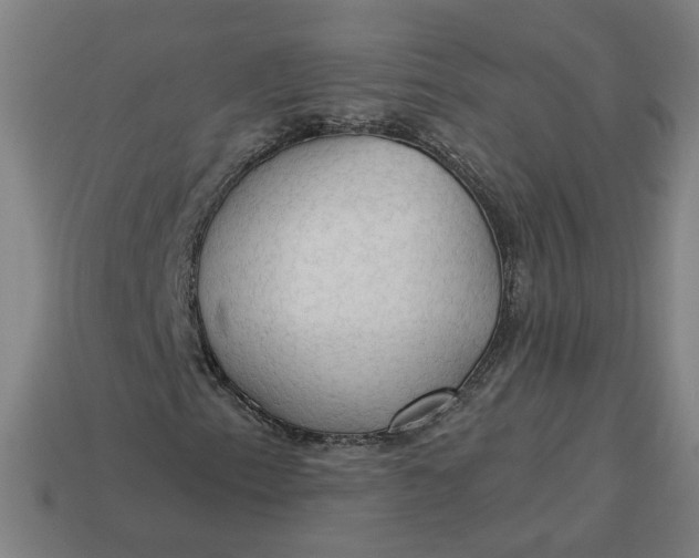 X0000113341153200910060952