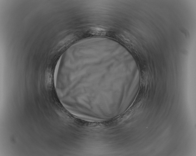 X0000113341154200910060952