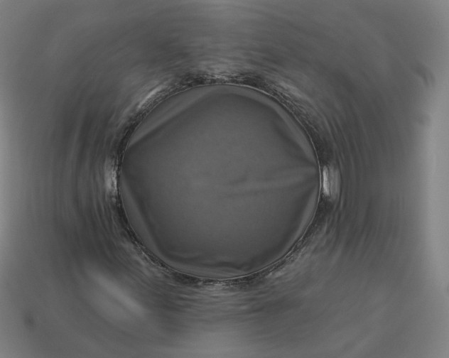 X0000113341155200910060952