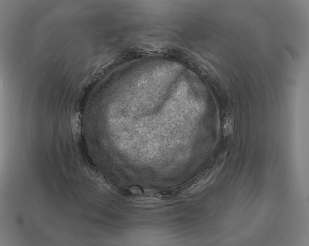 X0000113341156200910060952