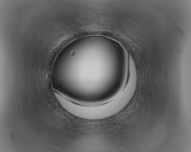 X0000113341157200910060952