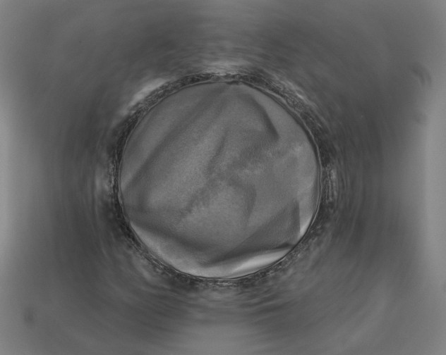 X0000113341158200910060952