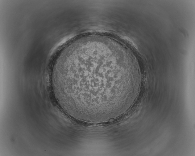 X0000113341159200910060952