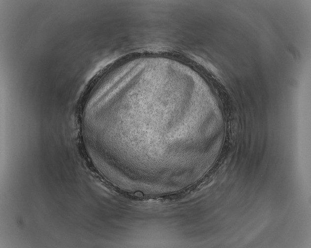 X0000113341160200910060952