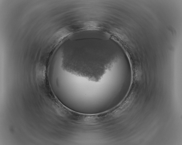 X0000113341161200910060951